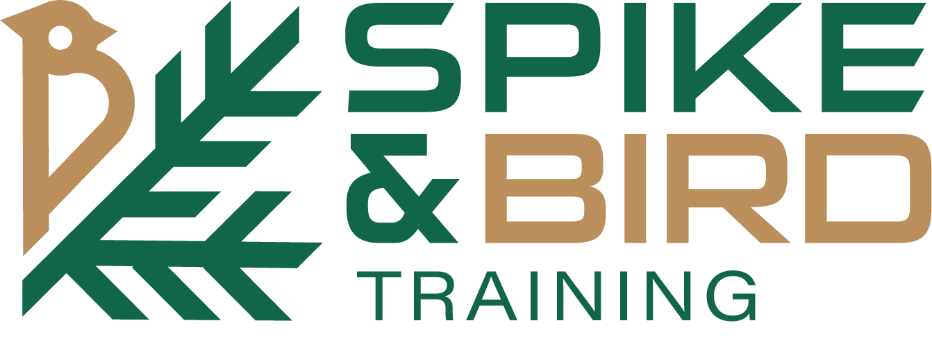 SpikeandBird LMS